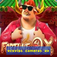 ecovias cameras ao vivo santos